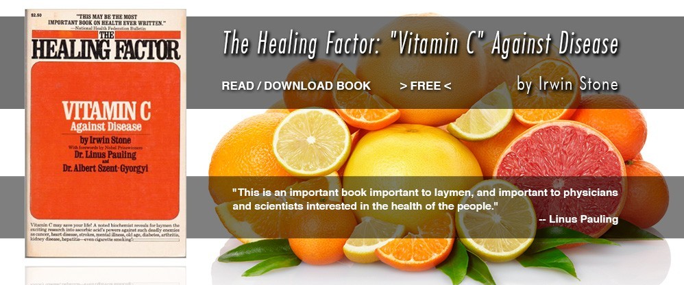 Health - The Healing Factor by Irwin Stone