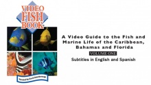 Video Fish Book